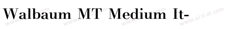 Walbaum MT Medium It字体转换